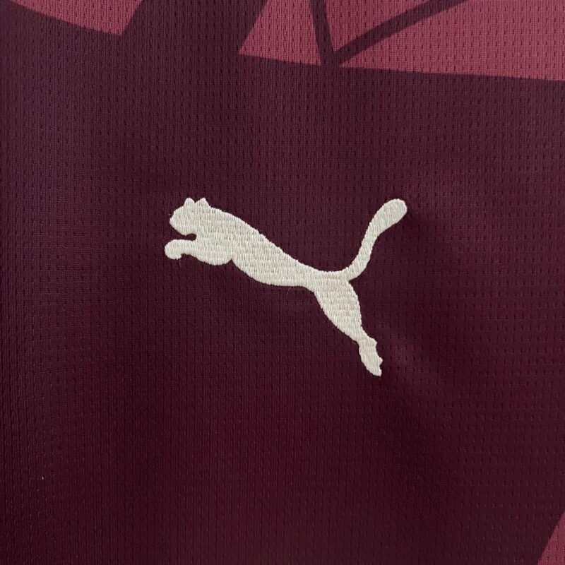 Manchester City Home Jersey 2024-2025 (Fan Version) - Image 5